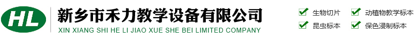 河南守拓實(shí)業(yè)有限公司